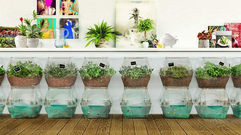 Five Creative Systems for Apartment Gardening | Concrete Playground 