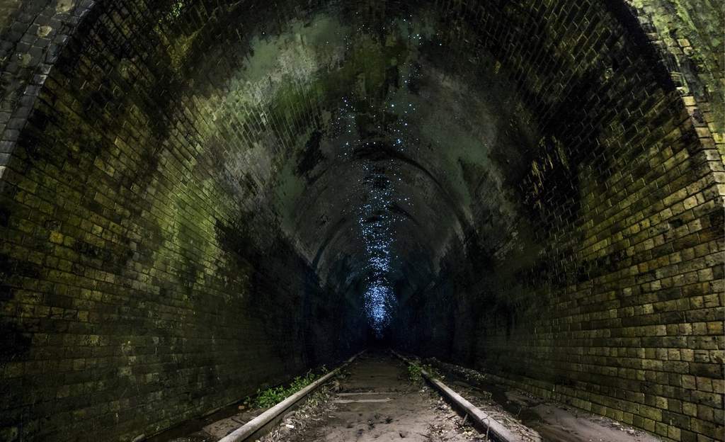 Dora backpack toys r us, best overnight hikes near seattle, camping hiking gear usa, rolling