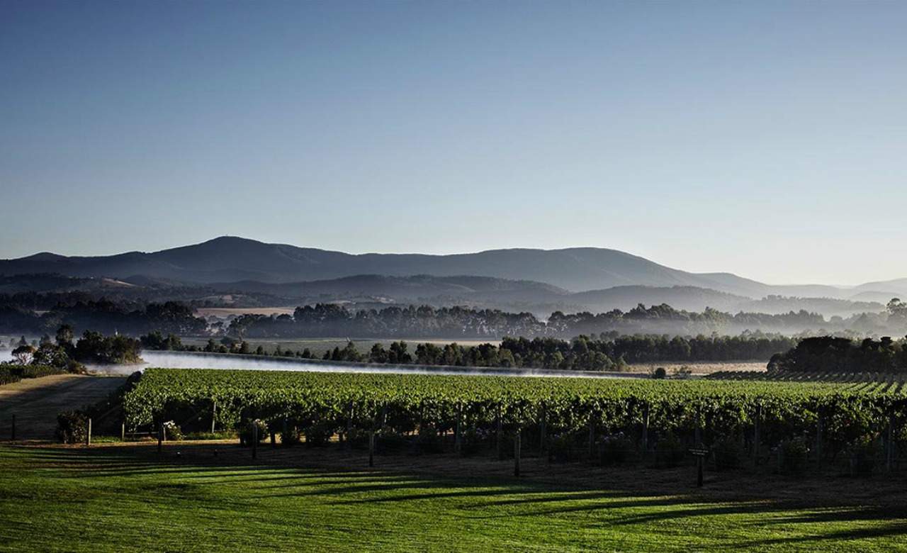 A Weekender’s Guide to Healesville and Yarra Valley | Concrete