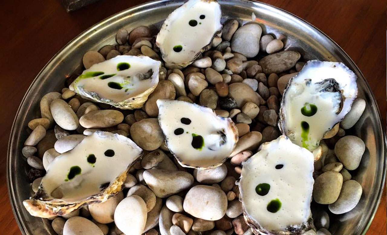 Panama Dining Room Oysters Panama Dining Room Oysters