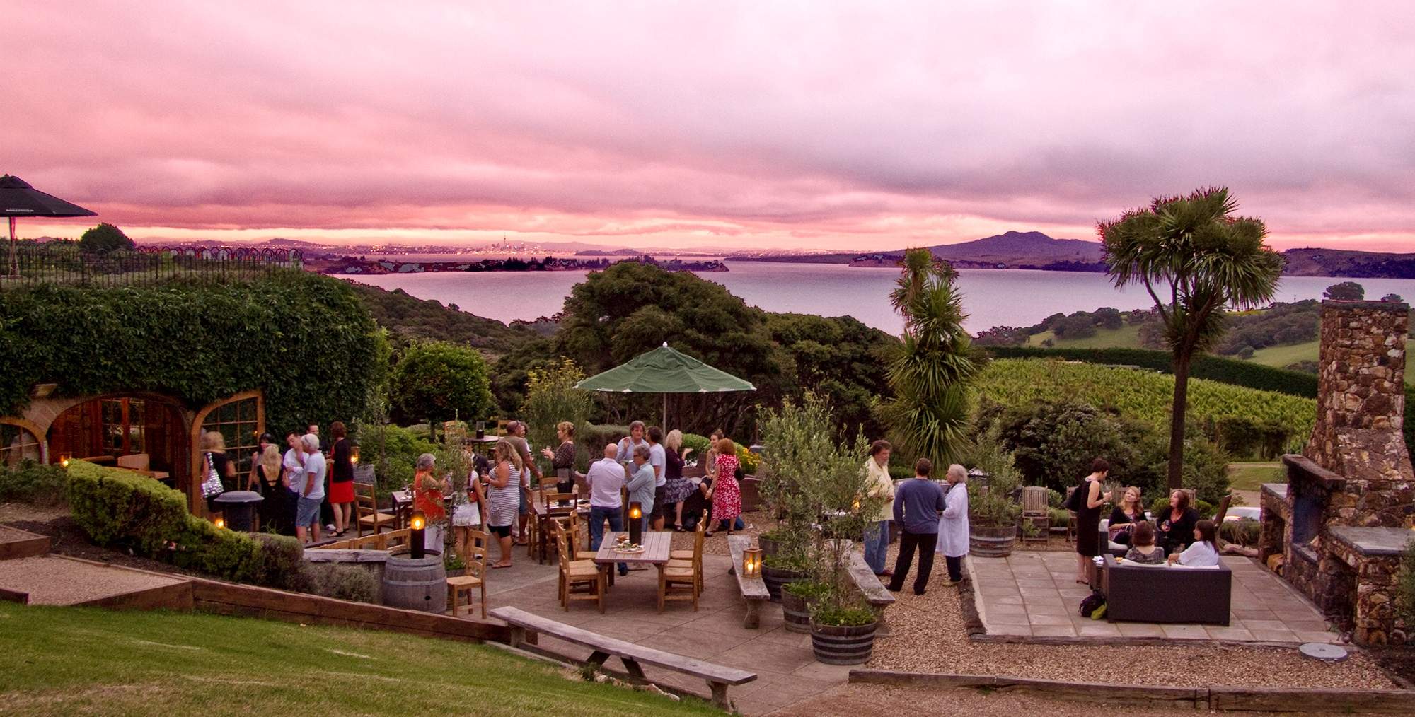 the-best-things-to-do-in-auckland-concrete-playground-auckland