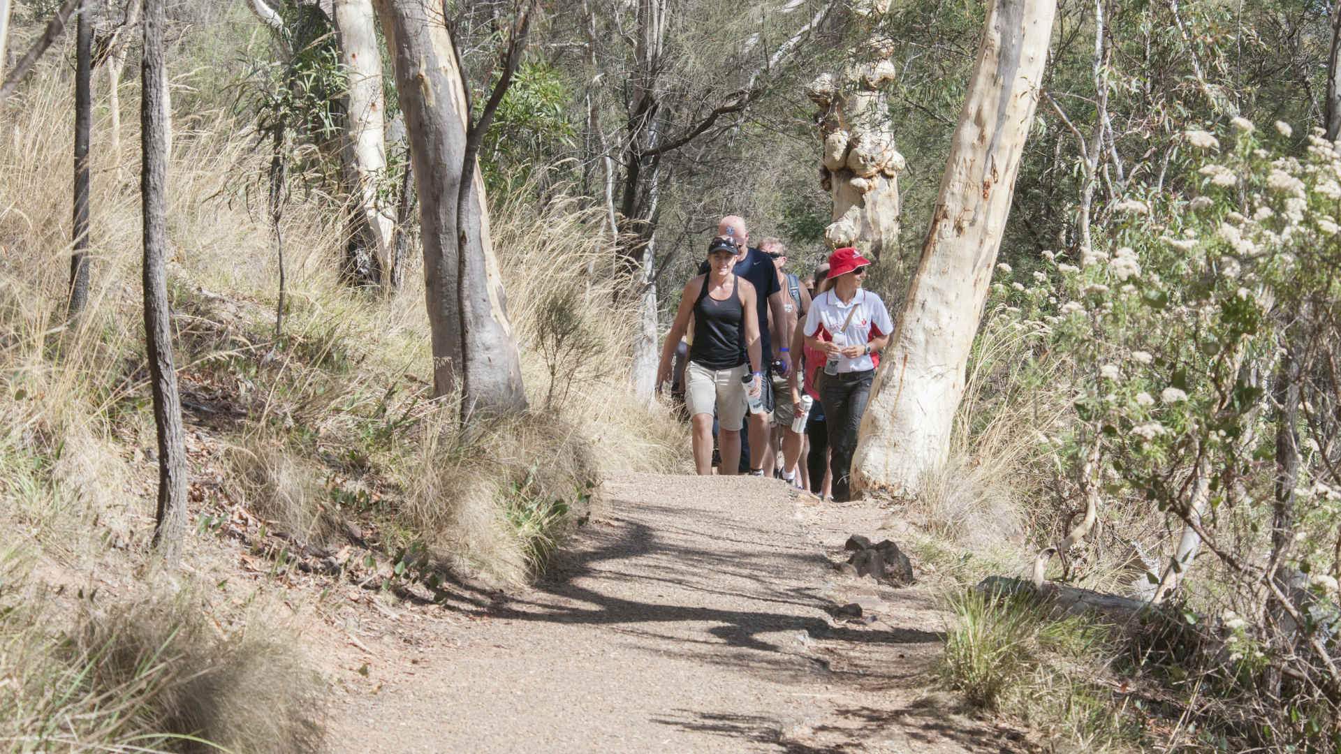 Mount Ainslie To Mount Majura Circuit Concrete Playground