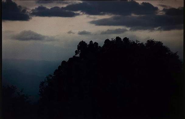 Bill Henson