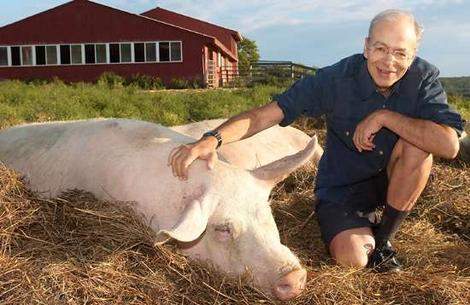 Peter Singer: Ethical Issues in an Online World