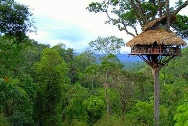 Realise Your Childhood Dreams with O2 Treehouses