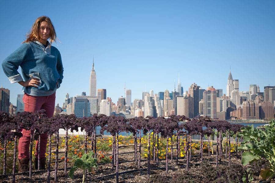 Urban Farming Continues to Grow Around the World