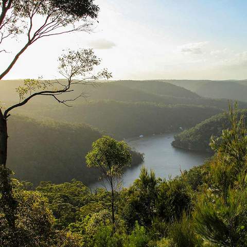 The Ten Best Camping Getaways from Sydney