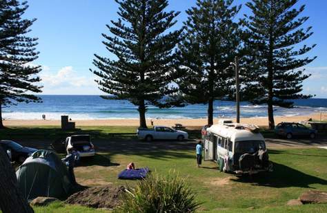 Coledale Beach Campground