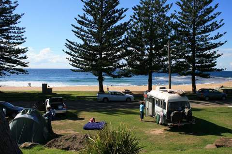 Coledale Beach Campground - Concrete Playground