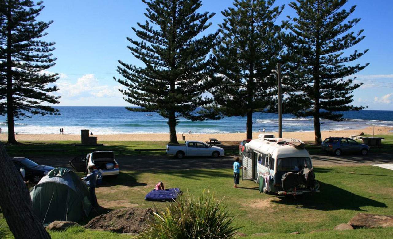 Coledale Beach Campground