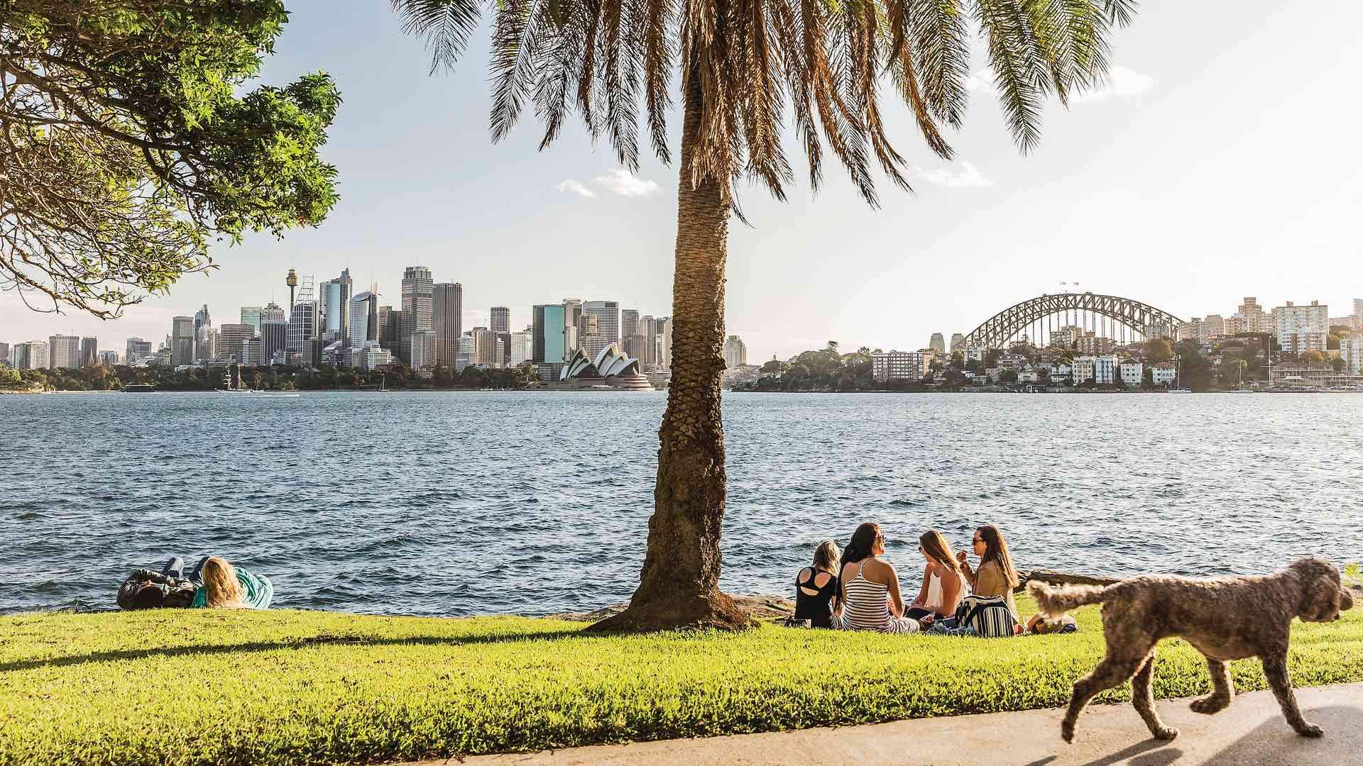 The Ten Best Picnic Spots in Sydney Concrete Playground