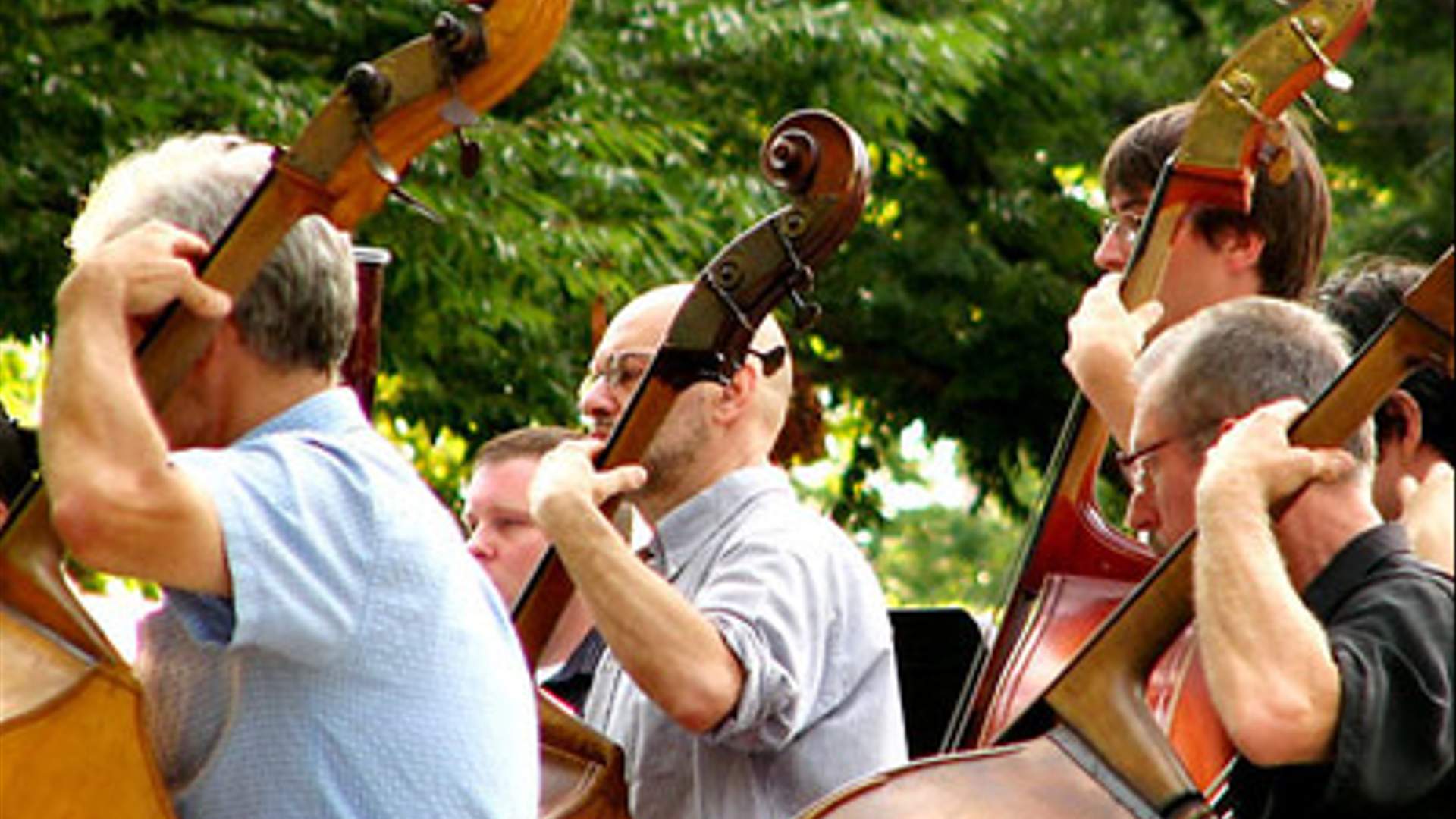 The String Orchestra of Brooklyn Embraces Nontraditional Performance