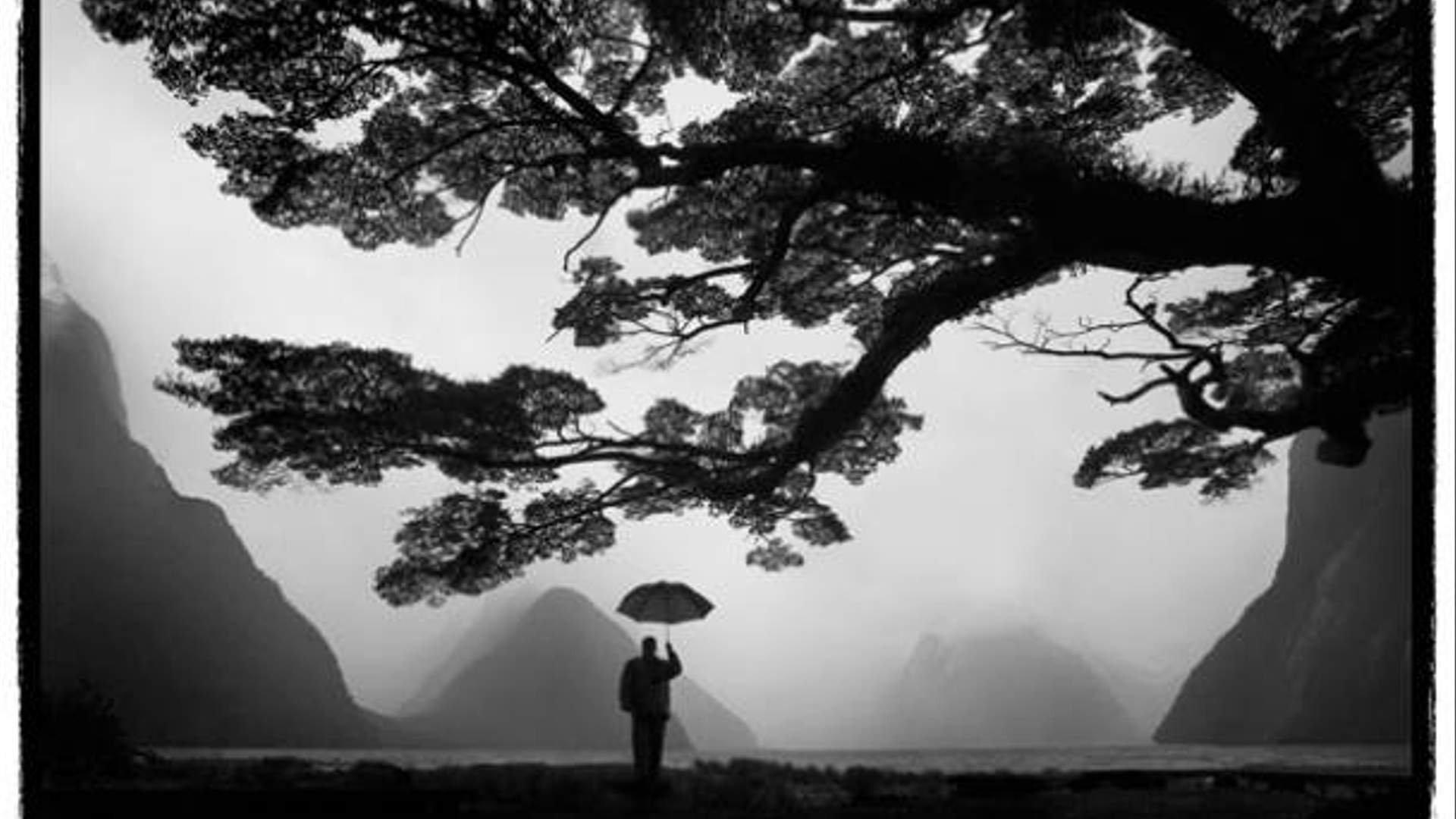 Landscape Exhibition by Contemporary Photography Foundation, Auckland