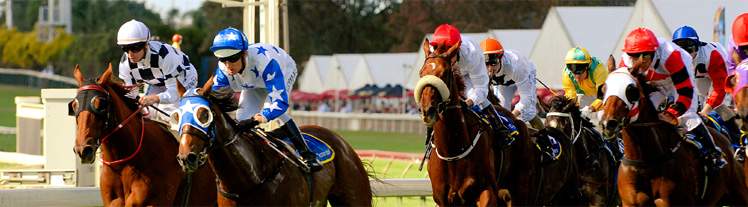 The Ekka Races