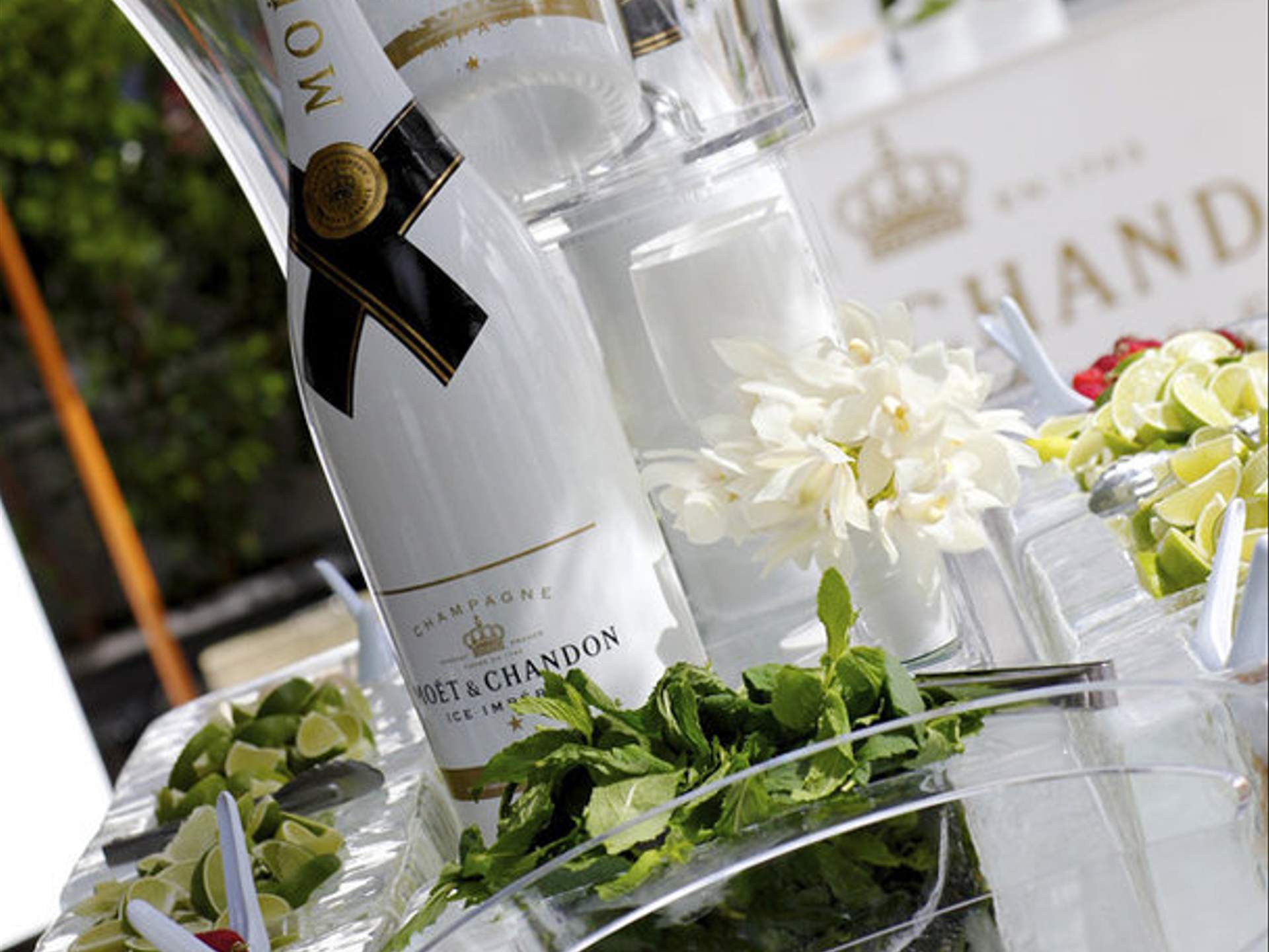 Win Moet and Chandon Pink Rose - Concrete Playground