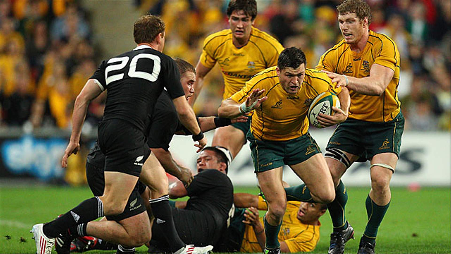 Bledisloe Cup 2012, Brisbane