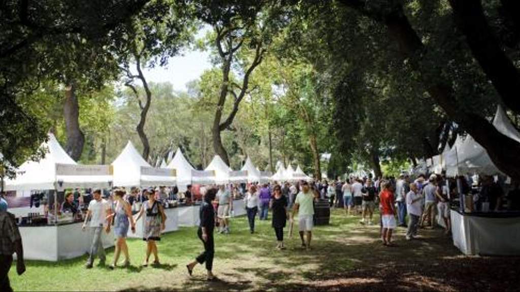 Sydney Cellar Door, Sydney