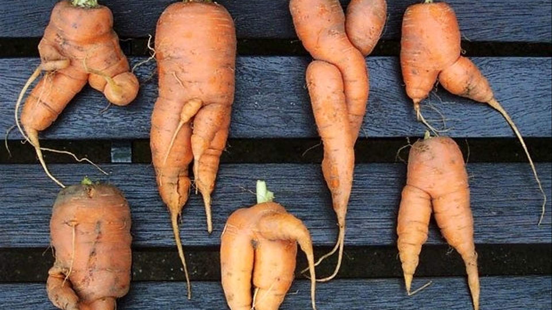 Морковь причудливой формы