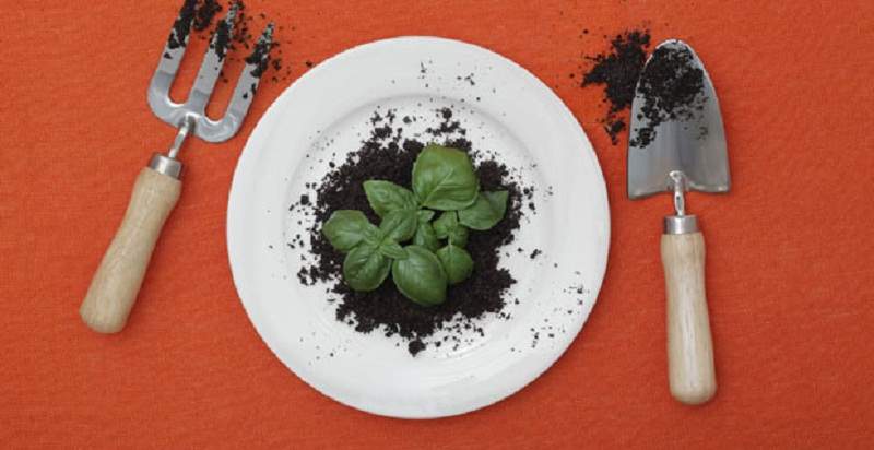 Growing Food in Small Spaces Workshop Series