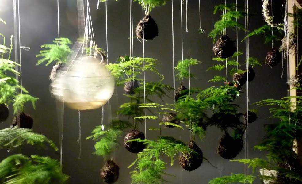 String Gardens with Reid Concrete Playground