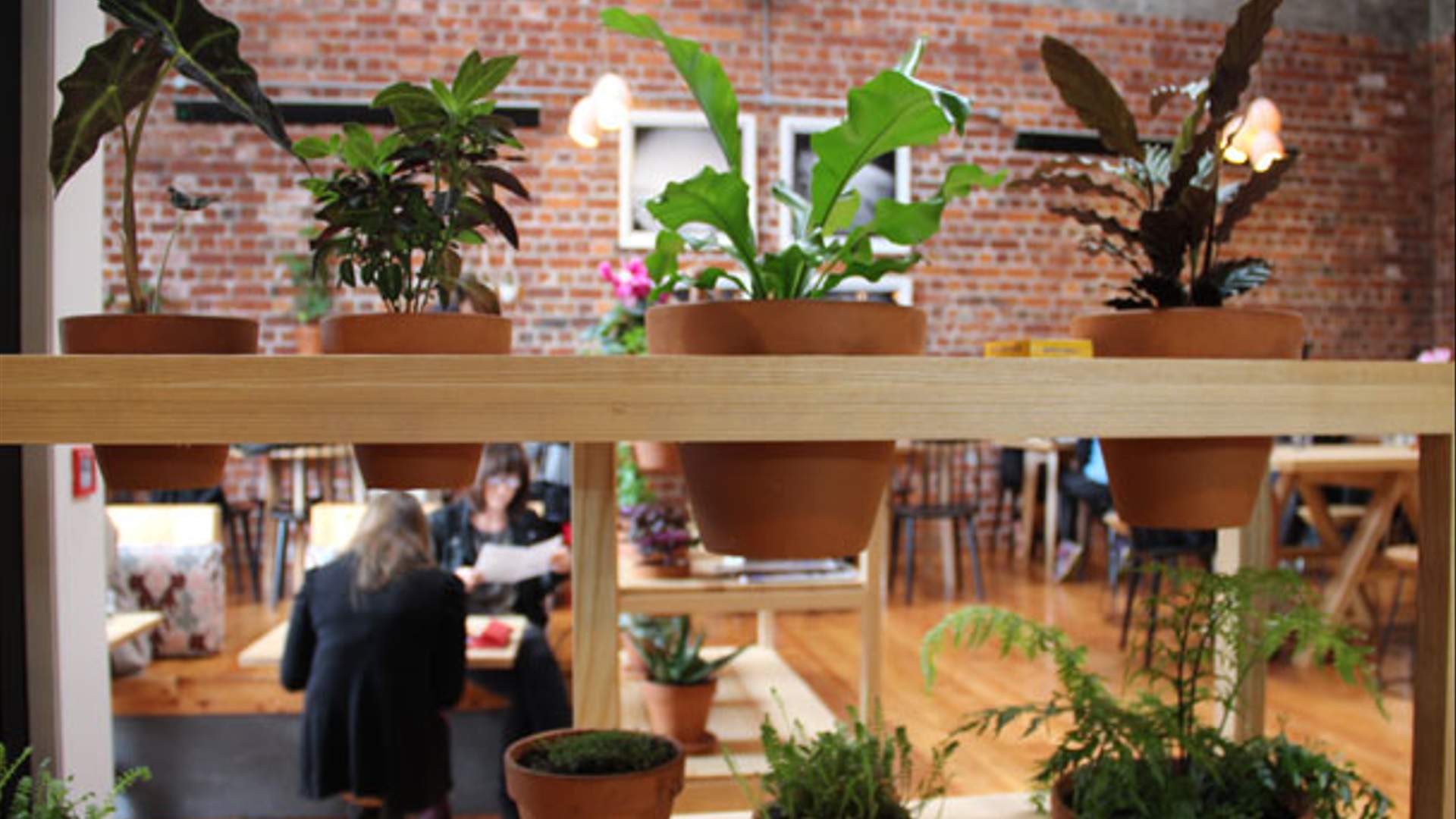 The Ten Best Organic Cafes in Auckland Concrete Playground