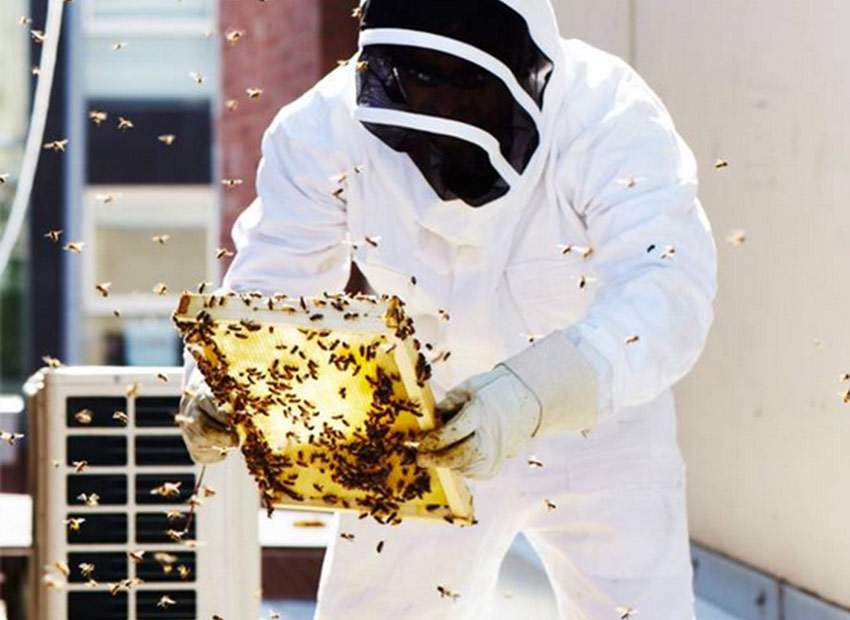 Rooftop Honey Fiesta, Melbourne