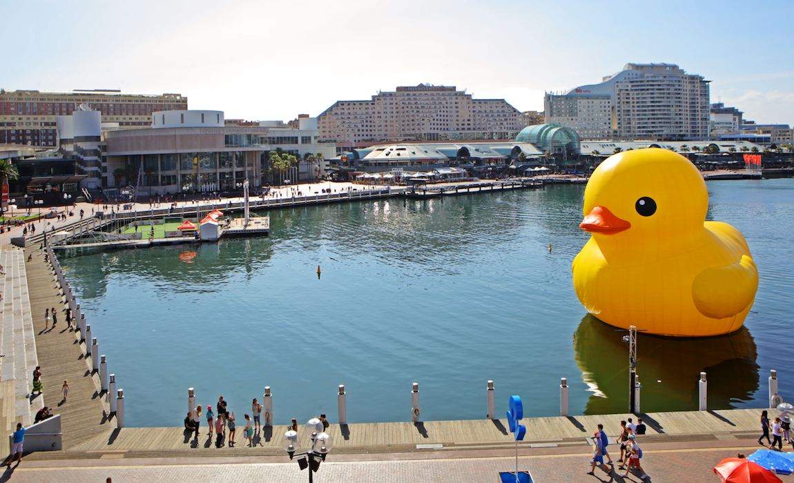Rubber Duck – Sydney Festival