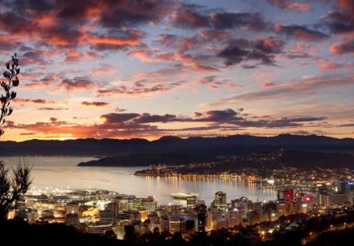 Background image for Concrete Playground is Looking For Wellington Writers