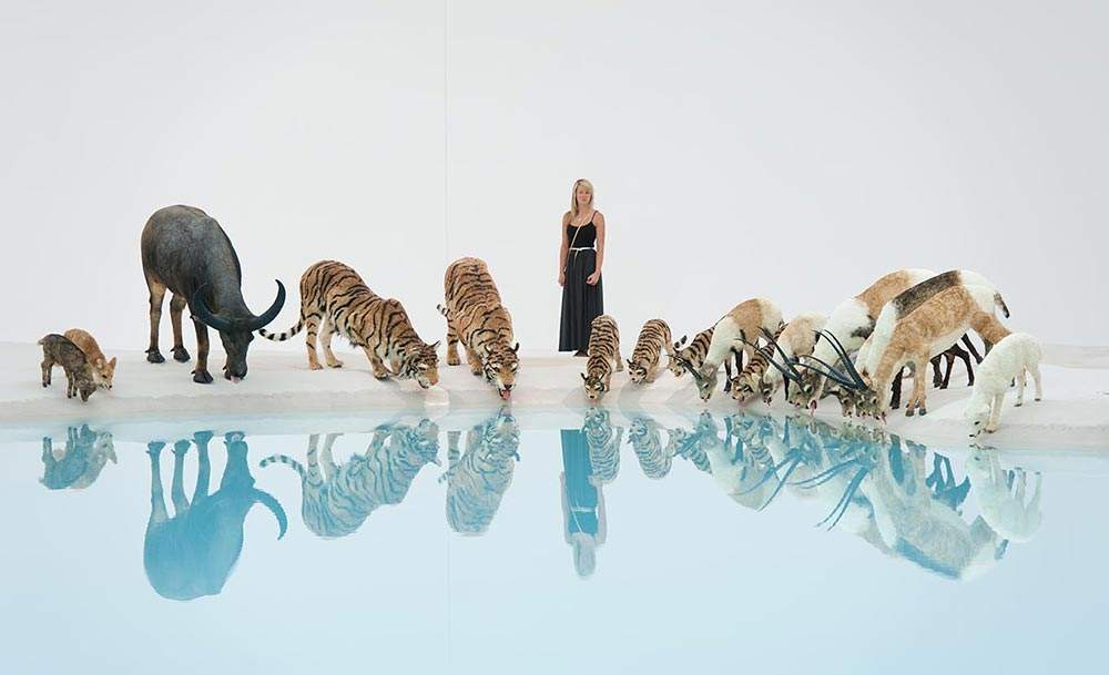 Win Tickets to Cai Guo-Qiang After Hours at GOMA