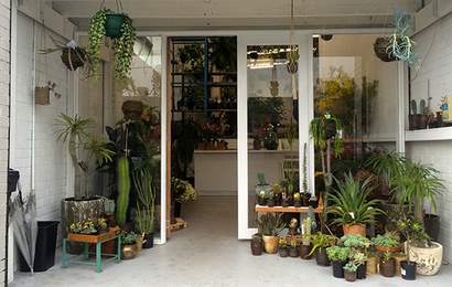 Background image for Grow Your Indoor Garden Haven with New Plant Warehouse Loose Leaf