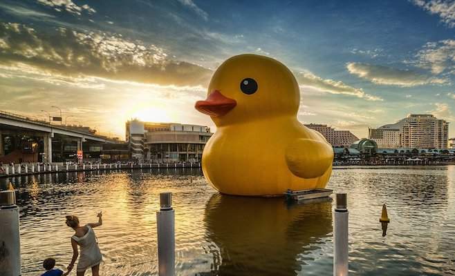Legendary Giant Rubber Duck Is Missing After Flood in China