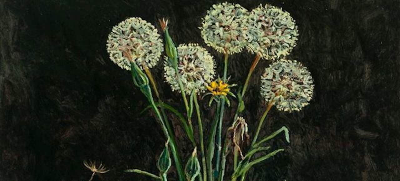 Lucy Culliton: Weeds of the Monaro and Others