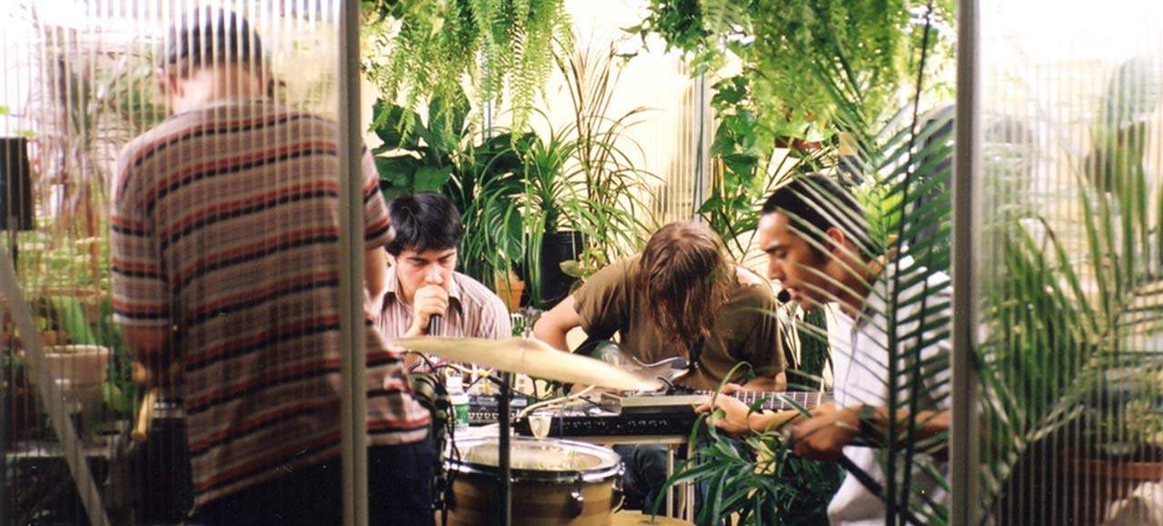 Listen to the Album Sonic Youth, Ariel Pink, Yoko Ono and Others Recorded for Plants