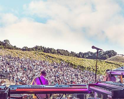 Winery Tour 2015