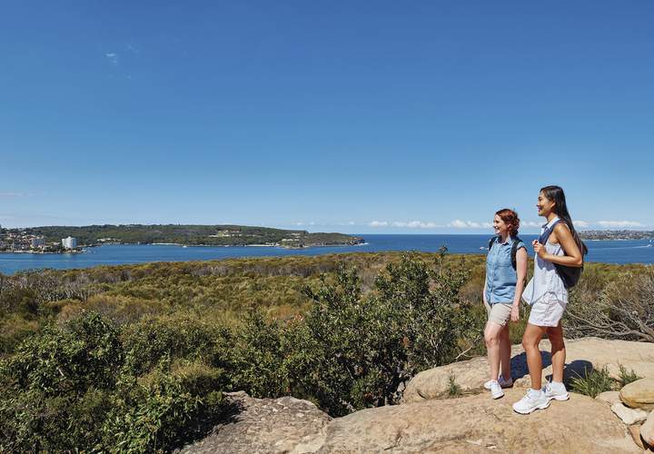 Background image for The Nine Best Walks In and Around Sydney
