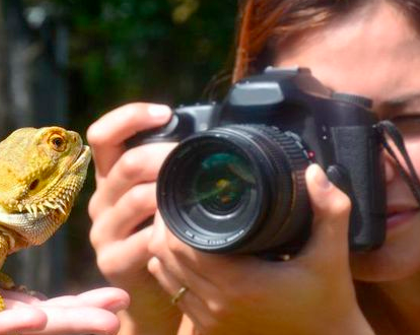Auckland Zoo Beginner’s Photography Workshop