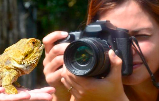 Auckland Zoo Beginner’s Photography Workshop
