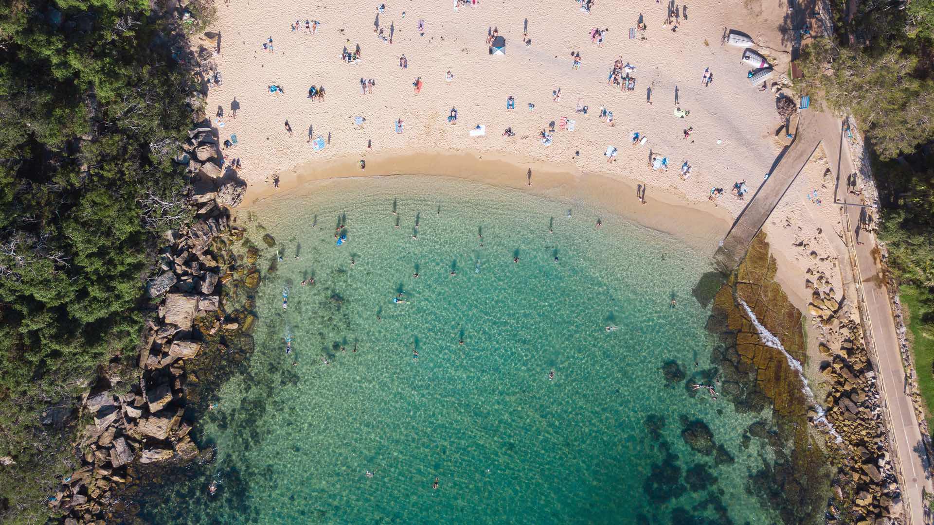 best beaches in Sydney - shelly beach