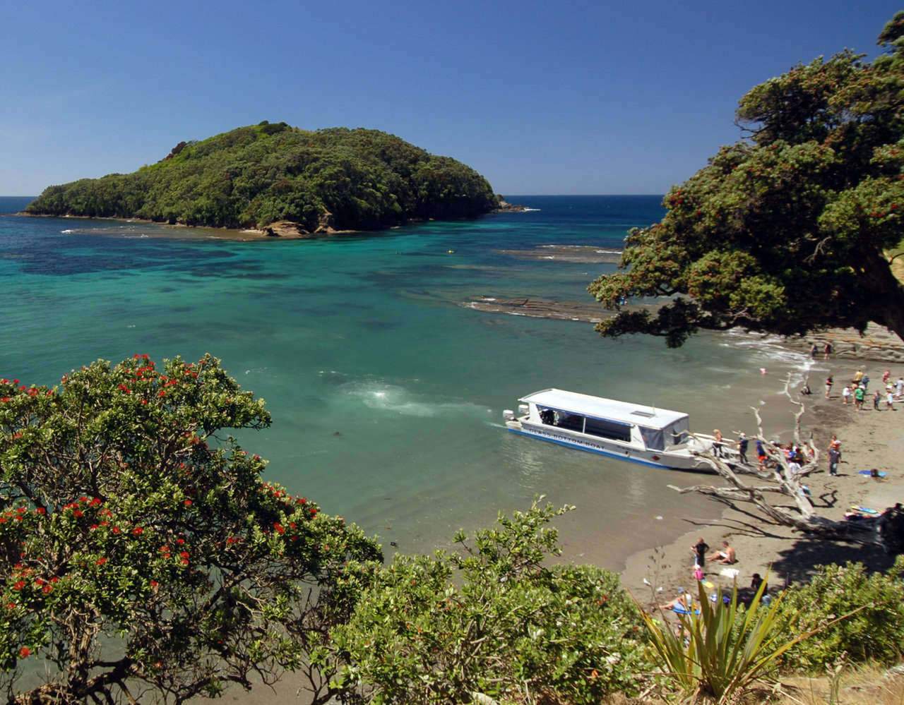 The Seven Best Staycations in Auckland Concrete Playground