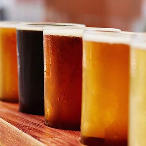 How to Host Your Own Beer Tasting