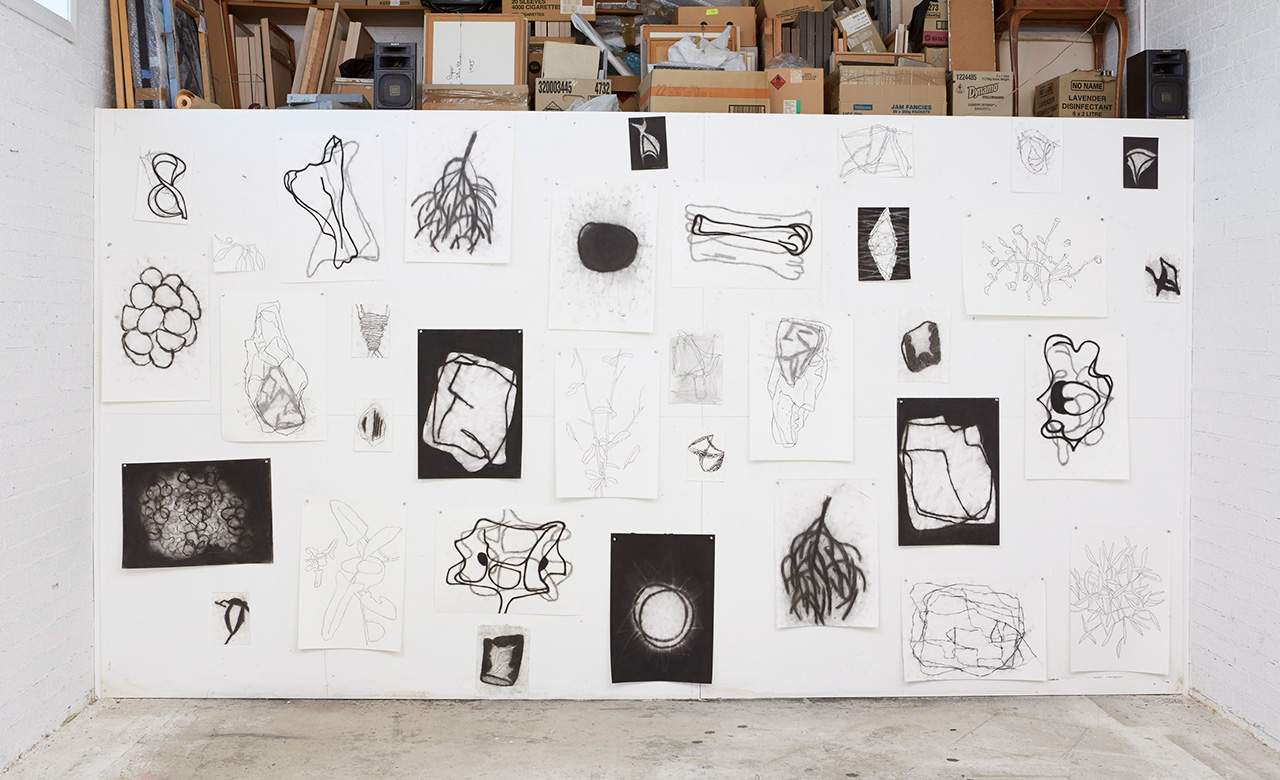 Drawing Out: Dobell Australian Drawing Biennial