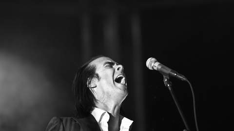 Nick Cave