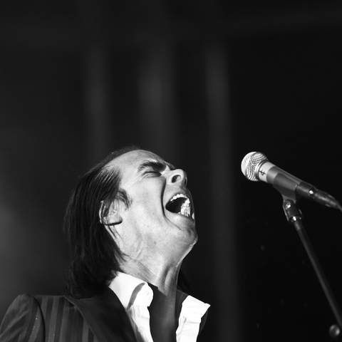 Nick Cave