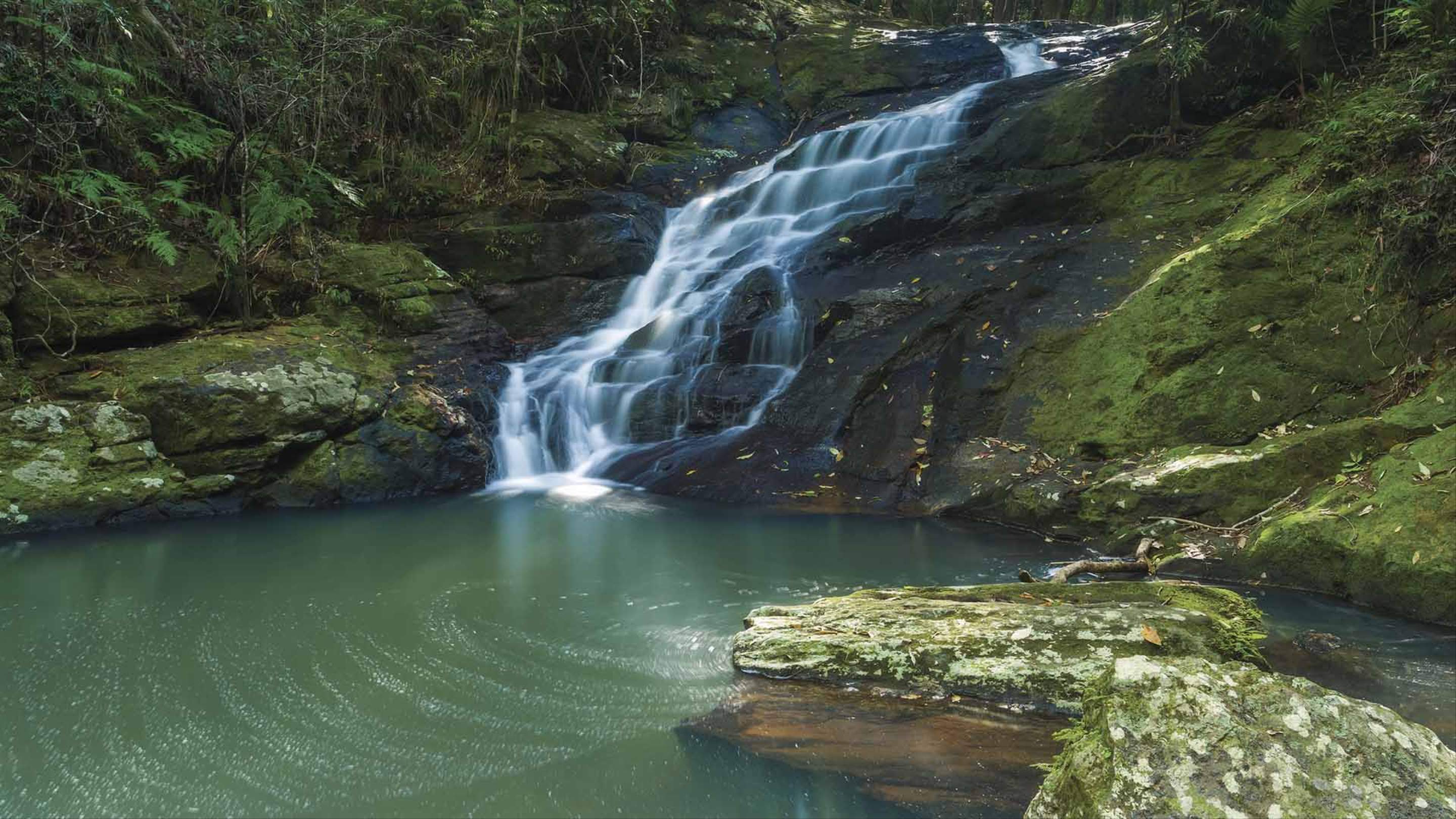 Qld Waterfall The Five Best Waterfalls Near Brisbane You Can Swim Under