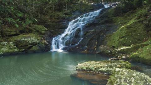 BOOLOUMBA FALLS, CONONDALE NATIONAL PARK - best waterfall in Brisbane, Queensland.