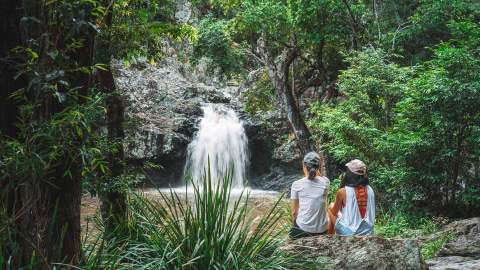 Kondalilla National Park is home to one of the best waterfalls near Brisbane that you can swim under.