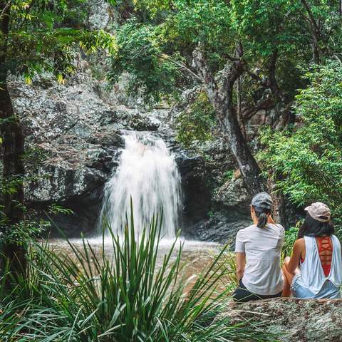 Kondalilla National Park is home to one of the best waterfalls near Brisbane that you can swim under.