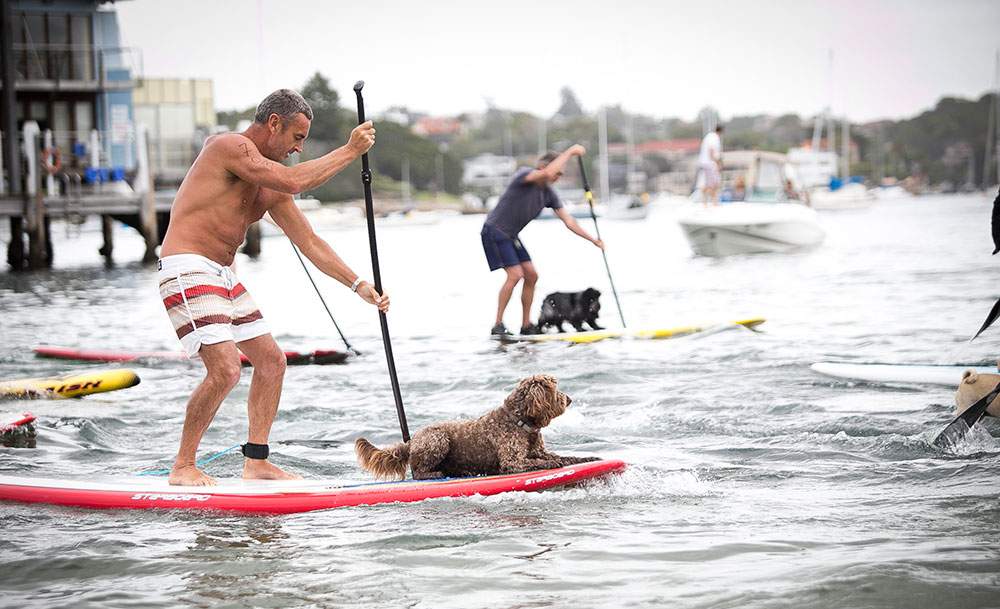 Every Man and His Dog Stand Up Paddle Race