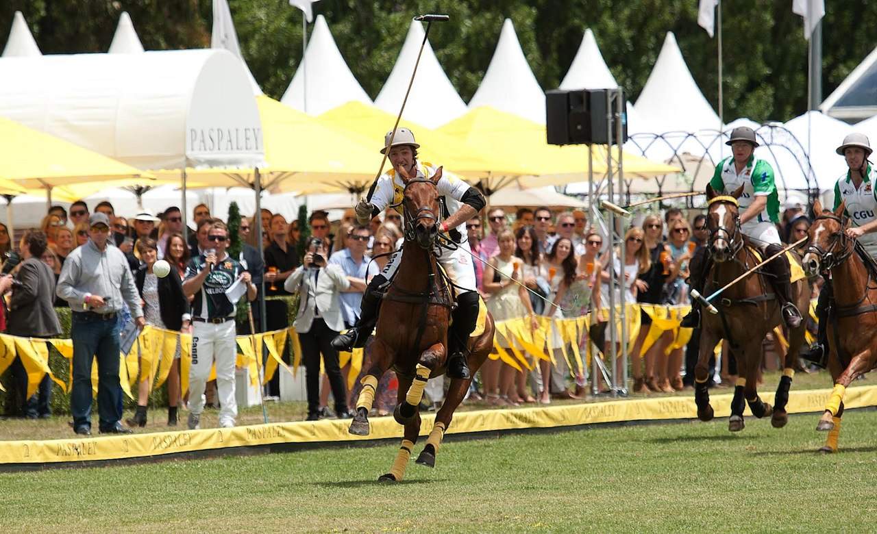 Polo by the Sea