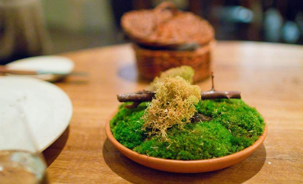 Noma Is About to Open Bookings for Its Sydney Pop-Up